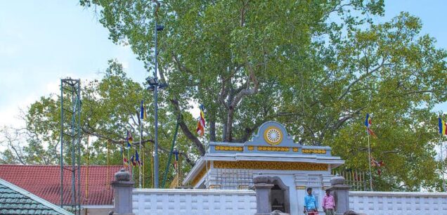 Anuradhapura – The Ancient Kingdom of Sri Lanka