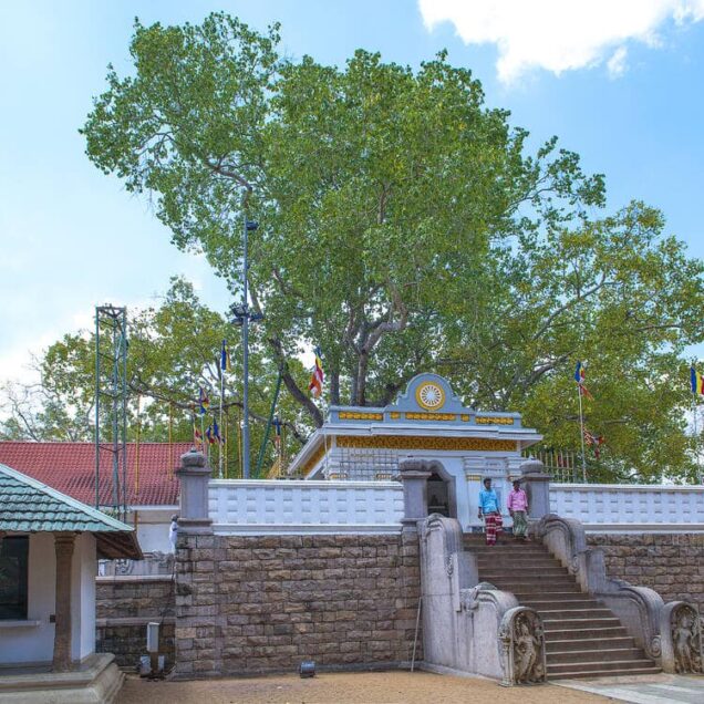Anuradhapura – The Ancient Kingdom of Sri Lanka